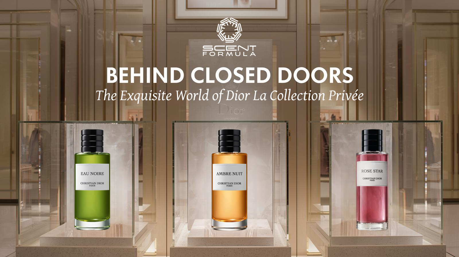 Behind Closed Doors_ The Exquisite World of Dior La Collection Privée
